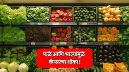 Lung Cancer Risk: धक्कादायक! फळे आणि पालेभाज्या ठरतायत फुफ्फुसाच्या कॅन्सरला कारणीभूत?