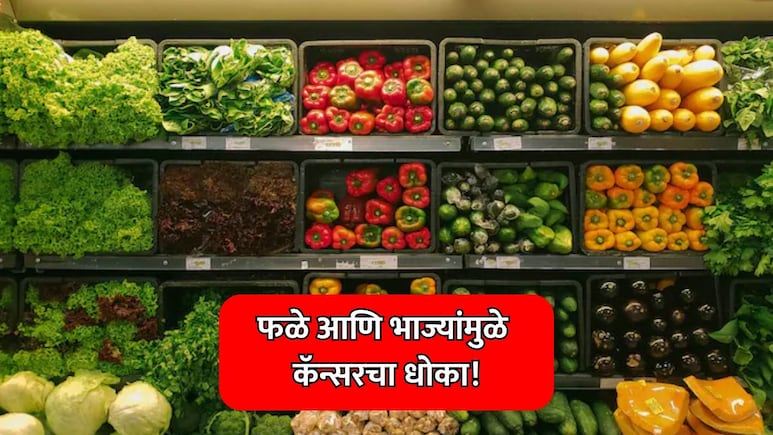 Lung Cancer Risk: धक्कादायक! फळे आणि पालेभाज्या ठरतायत फुफ्फुसाच्या कॅन्सरला कारणीभूत?