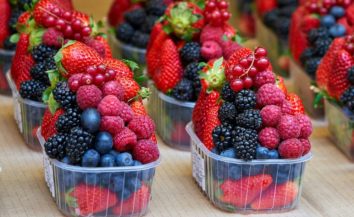 Latest and Breaking News on NDTV