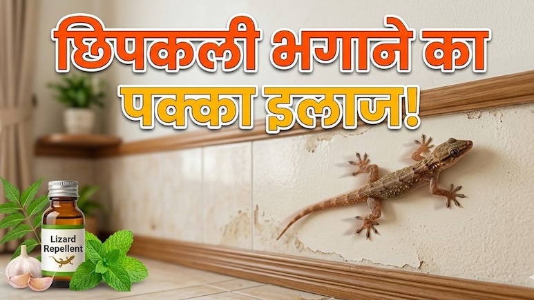 घर में लगाएं ये पौधा, यूं भागेंगी सारी छिपकलियां!