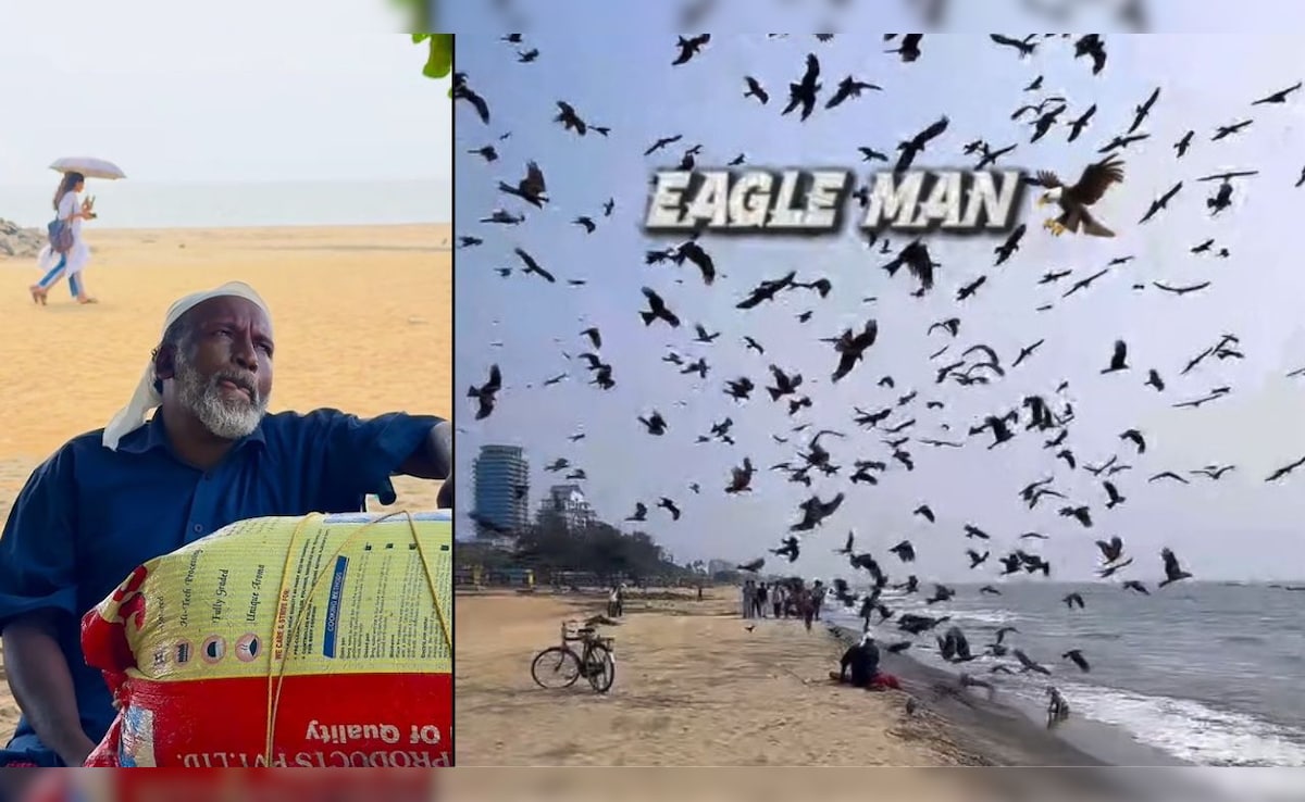 इस शख्स के एक इशारे पर लग जाता है चीलों का मेला, 'ईगल मैन' का VIRAL VIDEO देख आपकी आंखें भी खुली रह जाएंगी