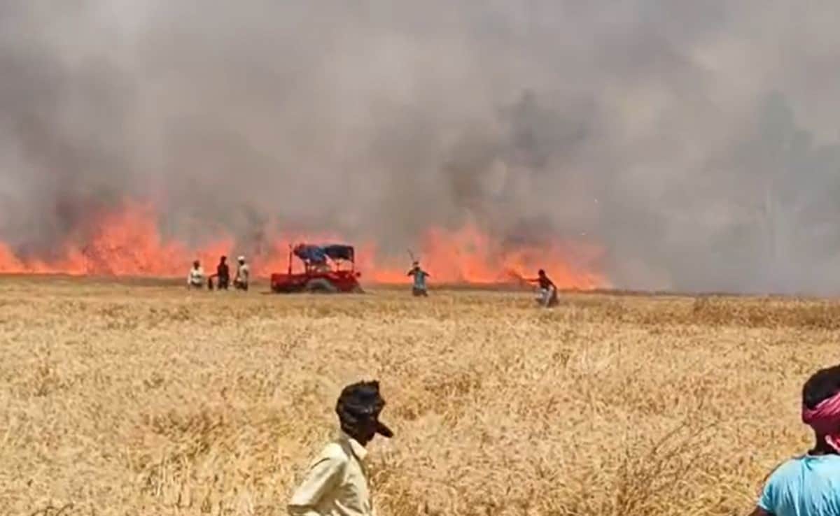 रोहतास में किसानों पर आग का कहर, 500 बीघा गेंहू की फसल जलकर खाक... अब मुआवजे की आस