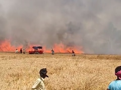 रोहतास में किसानों पर आग का कहर, 500 बीघा गेंहू की फसल जलकर खाक... अब मुआवजे की आस