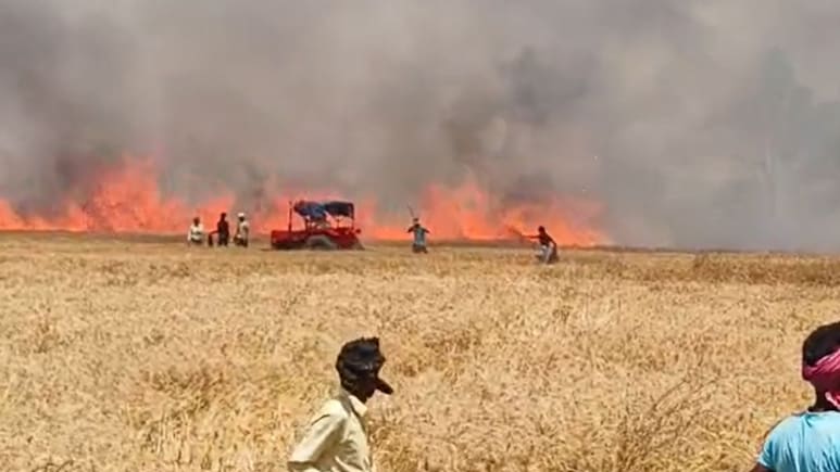 रोहतास में किसानों पर आग का कहर, 500 बीघा गेंहू की फसल जलकर खाक... अब मुआवजे की आस