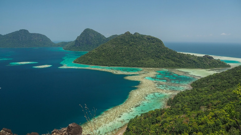 Why Borneo Should Be Your Next Wildlife Destination