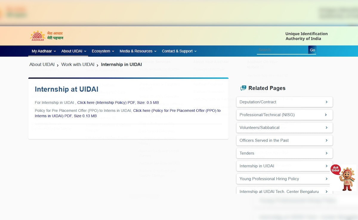 The Art of Baking: From Classic Bread to Artisan Pastries