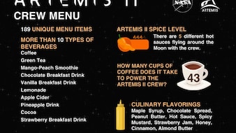 What Is On NASA's Artemis II Menu: Full List Of 189 Items