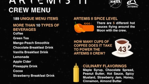 What Is On NASA's Artemis II Menu: Full List Of 189 Items, From Lemonade To Cake