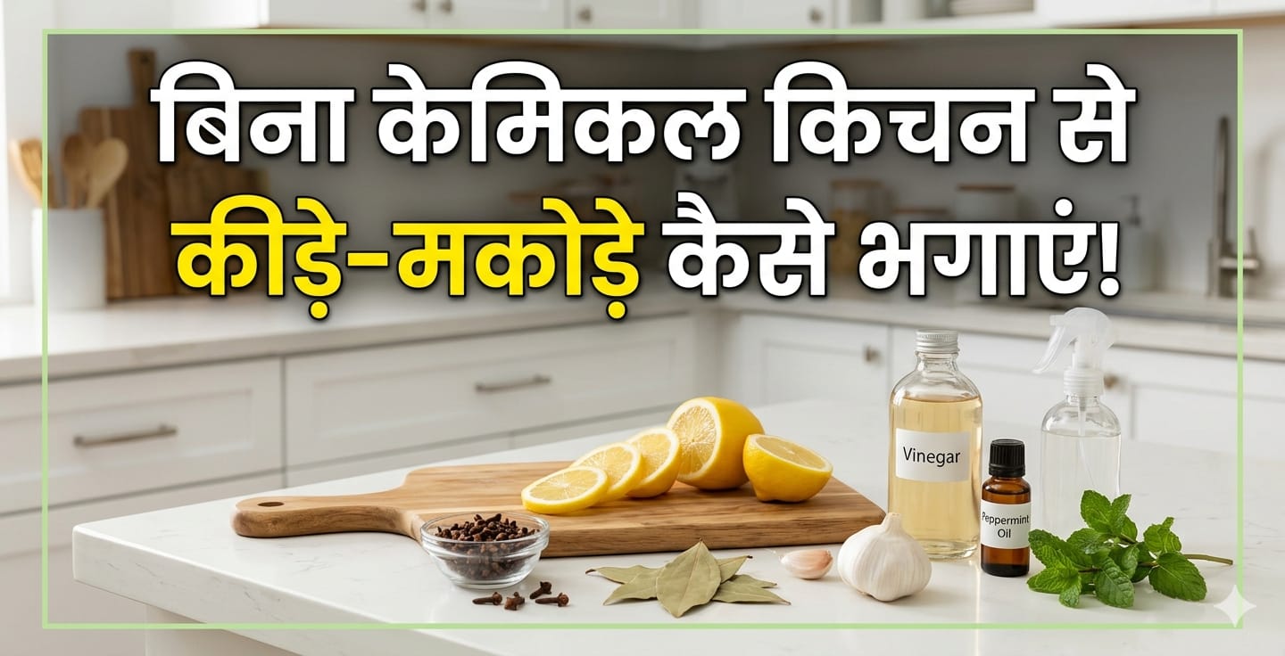 बिना केमिकल घर से कीड़े‑मकोड़े भगाने के आसान और असरदार तरीके