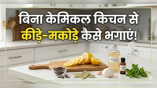 बिना केमिकल घर से कीड़े‑मकोड़े भगाने के आसान और असरदार तरीके