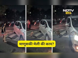 Pune News: विकृतीचा कळस! झोपलेल्या कुत्र्यावर गाडी घातली, जाब विचारताच आरोपी निर्लज्ज पणे हसला, पण पुढे...