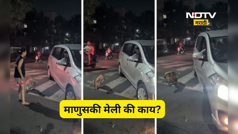 Pune News: विकृतीचा कळस! झोपलेल्या कुत्र्यावर गाडी घातली, जाब विचारताच आरोपी निर्लज्ज पणे हसला, पण पुढे...