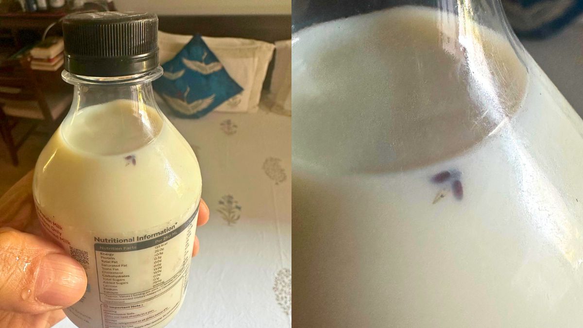 Author Finds Insect In Provilac High-Protein Milk Bottle, Founder Responds