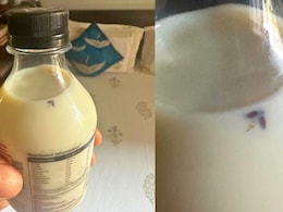 Author Finds Insect In Provilac High-Protein Milk Bottle, Founder Responds