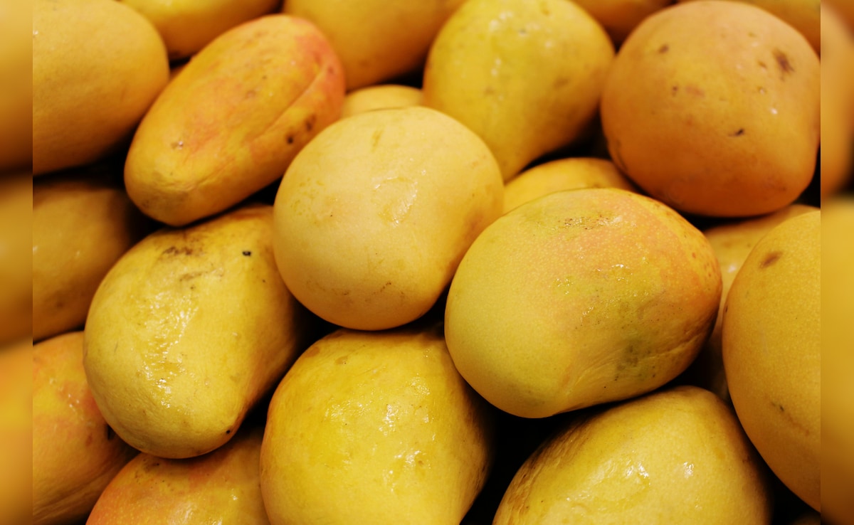 रसीले आमों का शहर: किस शहर को कहा जाता है Mango city of India