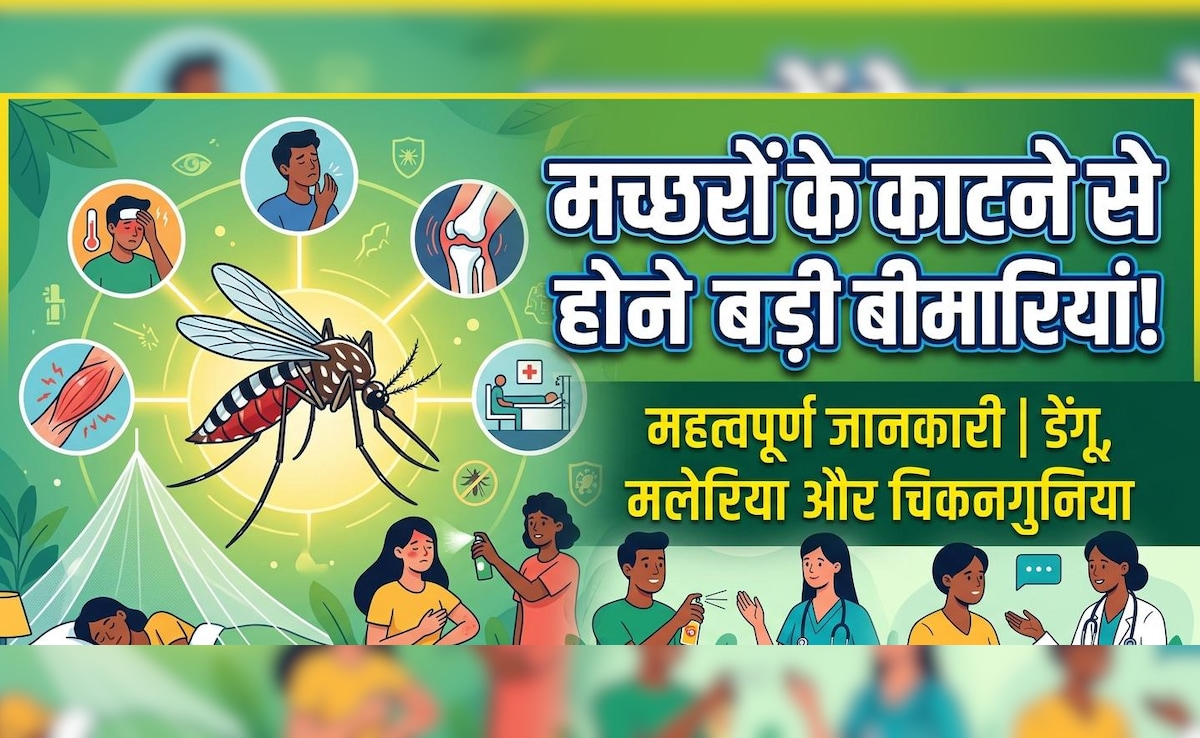 World Malaria Day 2026: मच्छरों के काटने से होने वाली सबसे खतरनाक बीमारियां, जिन्हें रिकवरी में लगता है लंबा समय