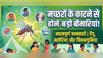 World Malaria Day: मच्छरों के काटने से होने वाली सबसे खतरनाक बीमारियां, जिन्हें रिकवरी में लगता है लंबा समय
