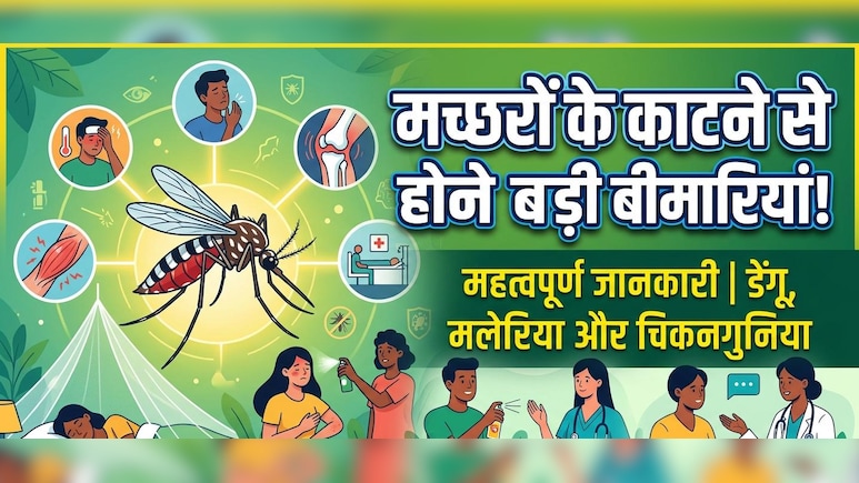 World Malaria Day 2026: मच्छरों के काटने से होने वाली सबसे खतरनाक बीमारियां, जिन्हें रिकवरी में लगता है लंबा समय