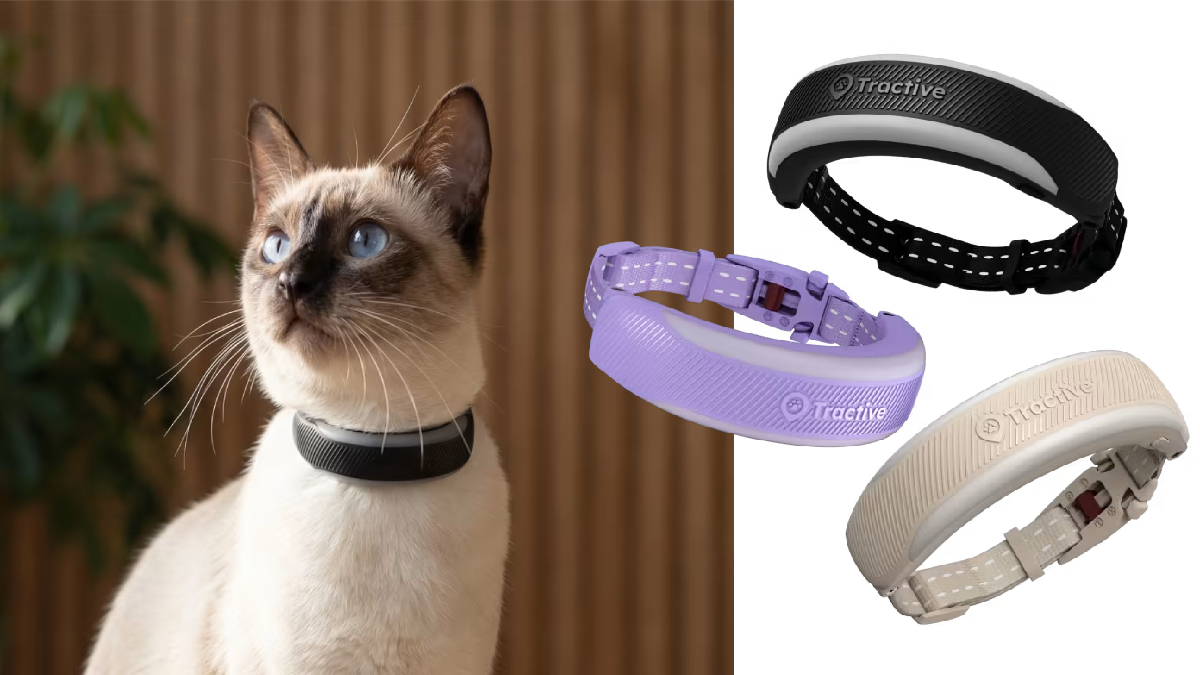 आपके कुत्ते और बिल्ली की हेल्थ पर रखें नजर, Tractive का नया कॉलर बैंड, लोकेशन भी करेगा ट्रैक, जानें कीमत