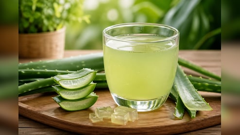 गर्मियों में बॉडी डीटॉक्स करने के लिए कैसे बनाएं एलोवेरा ड्रिंक, जानें आसान तरीका