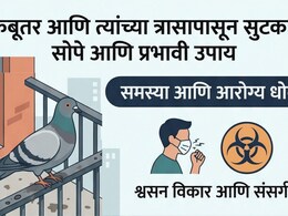 Pigeon Repellent Ideas: तुमच्याही बाल्कनी, खिडकीवर कबूतर करतायेत घाण; समस्या दूर करण्यासाठी फॉलो करा 9 टिप्स