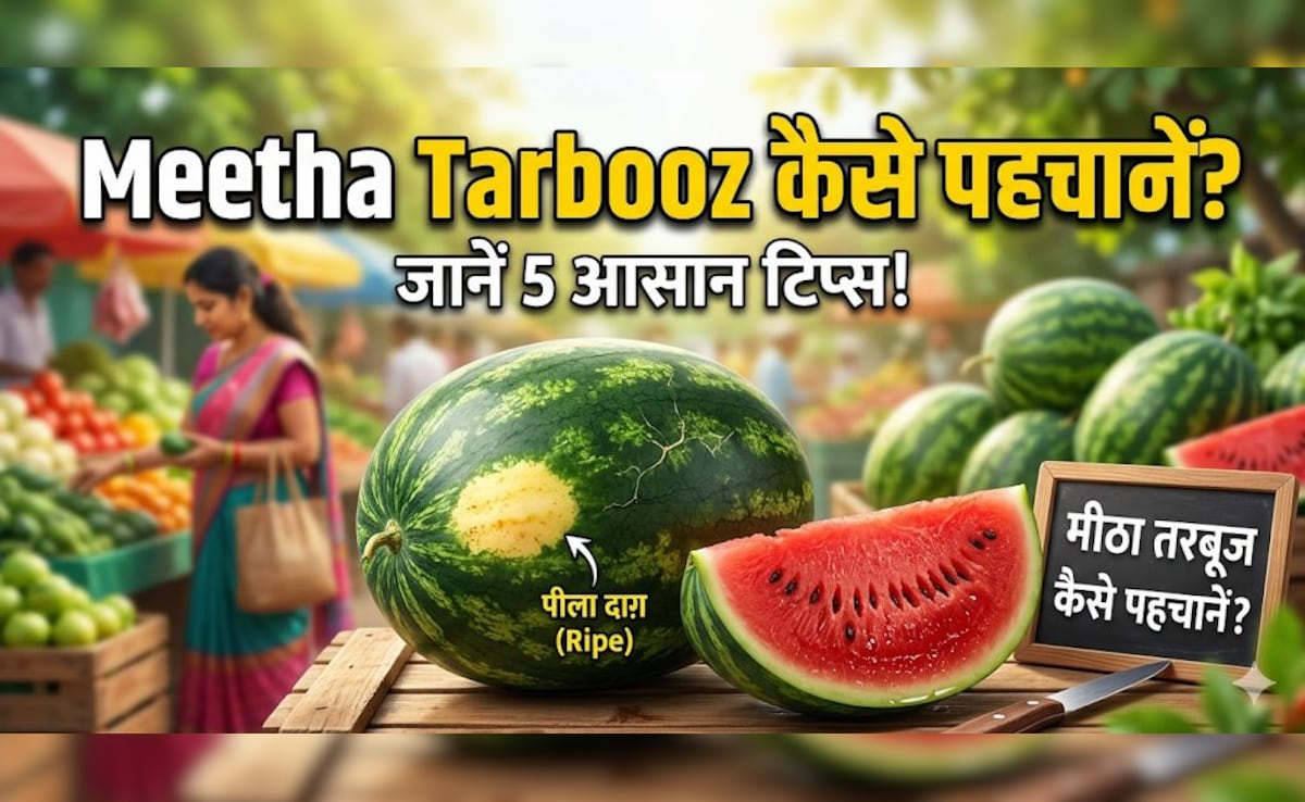 कैसे पता करें कि तरबूज मीठा है या नहीं? खरीदते समय करना होगा ये काम, 5 सेकंड में चल जाएगा पता!
