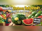 कैसे पता करें कि तरबूज मीठा है या नहीं? खरीदते समय करना होगा ये काम, 5 सेकंड में चल जाएगा पता!