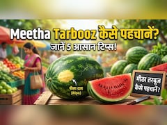 तरबूज मीठा है या फीका? खरीदते वक्त ये 5 सेकंड की ट्रिक जरूर अपनाएं