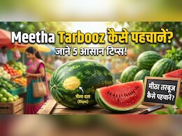 कैसे पता करें कि तरबूज मीठा है या नहीं? खरीदते समय करना होगा ये काम, 5 सेकंड में चल जाएगा पता!