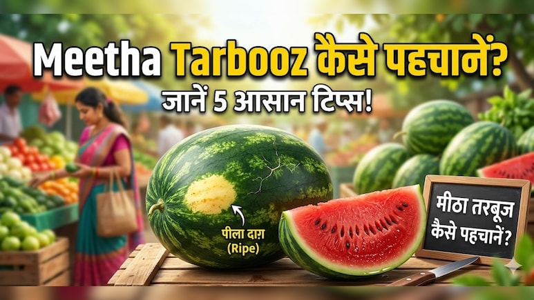 कैसे पता करें कि तरबूज मीठा है या नहीं? खरीदते समय करना होगा ये काम, 5 सेकंड में चल जाएगा पता!