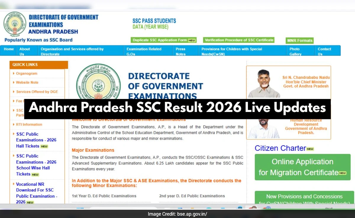 The Art of Baking: From Classic Bread to Artisan Pastries