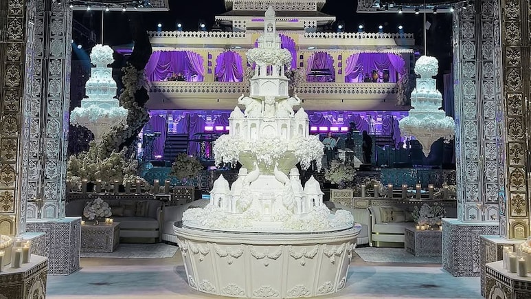At The Million-Dollar Mantena-Gadiraju Udaipur Wedding, The Cake Took 3,500 Hours To Make