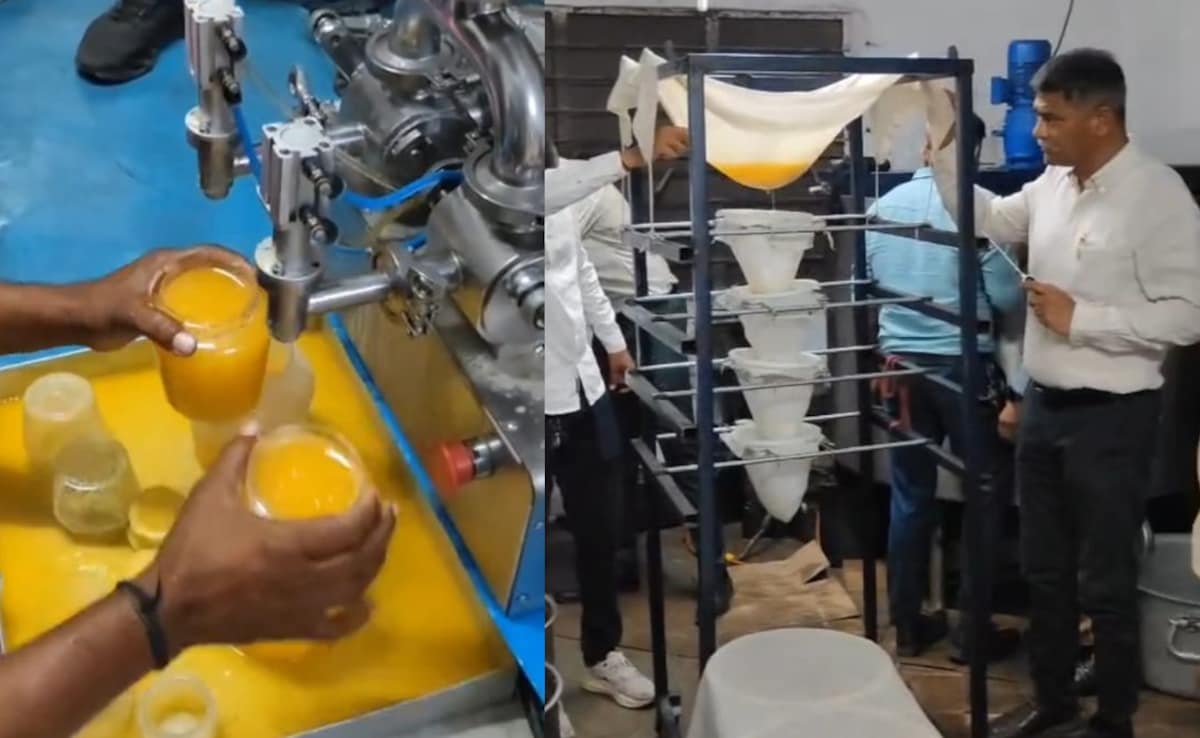 The Art of Baking: From Classic Bread to Artisan Pastries