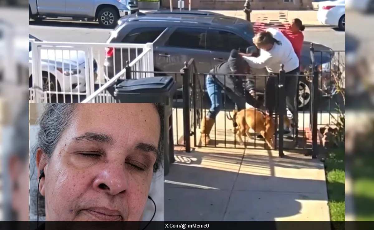 The Art of Baking: From Classic Bread to Artisan Pastries