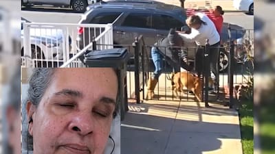 75-Year-Old Woman Beaten In Street After Asking Neighbour To Clean Up Dog Mess