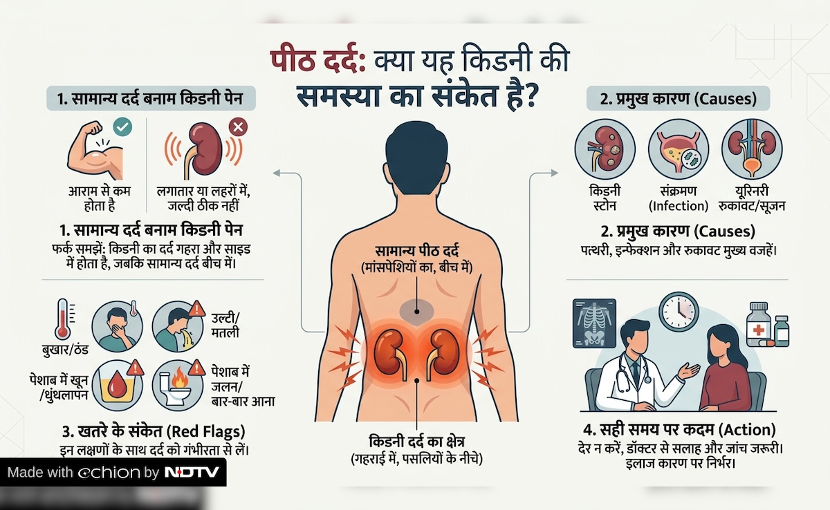 Latest and Breaking News on NDTV