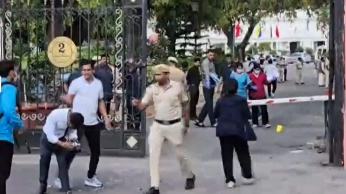 Masked Man Who Breached Delhi Assembly, Kept Bouquet Inside, Arrested