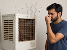 कूलर के पानी में डालें ये छोटी सी चीज, बदबू से मिलेगी राहत और मच्छरों का झंझट भी होगा ख़त्म