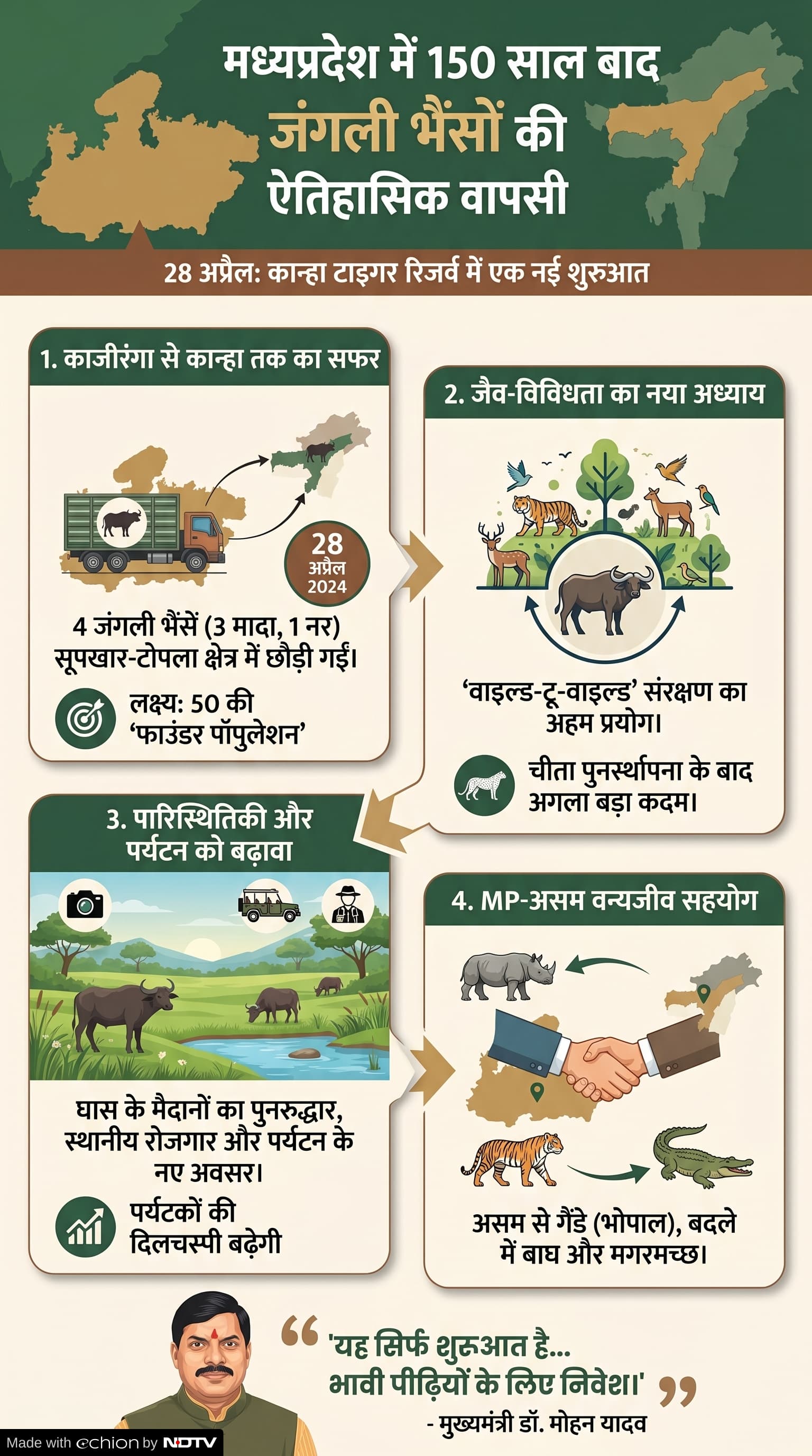 Wild Buffalo Restoration: कान्हा में जंगली भैंसों का पुनर्स्थापन