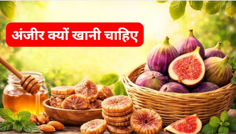 अंजीर को क्यों कहा जाता गुणों की खान? यहां जानें किन 4 बीमारियों में है रामबाण!