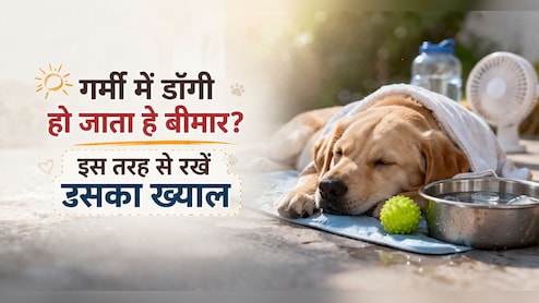 गर्मी में डॉगी हो जाता है बीमार? मैं ऐसे रखती हूं अपने पेट को फिट, आप भी अपनाएं ये 5 ट्रिक्स