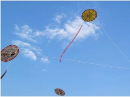 Bikaner Foundation Day 2026: मांझा नहीं..यहां रस्सी से उड़ाई जाती है पतंग, कई लोग करते हैं मदद, क्या इस परंपरा के बारे में जानते हैं आप?