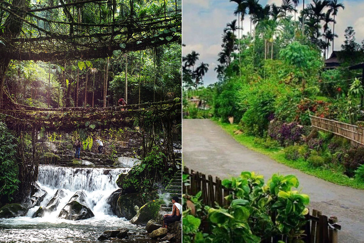 From Clean Paths to Living Roots: A Day Beyond Shillong