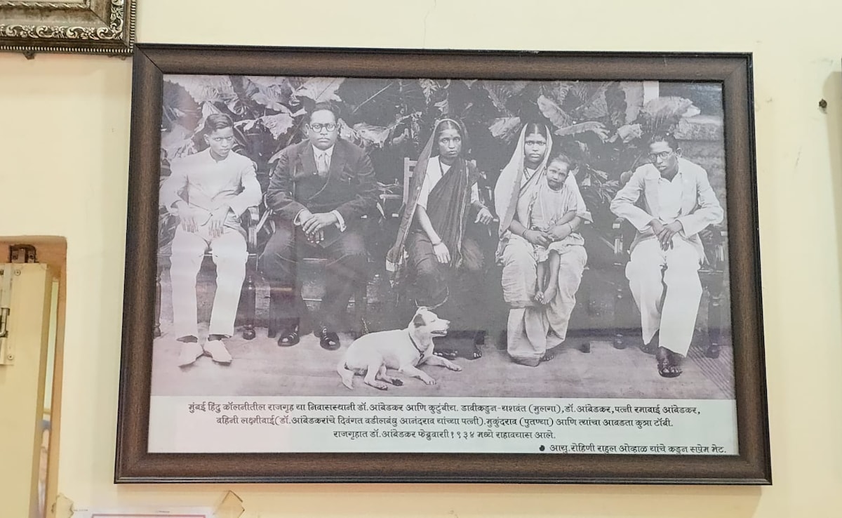 Latest and Breaking News on NDTV