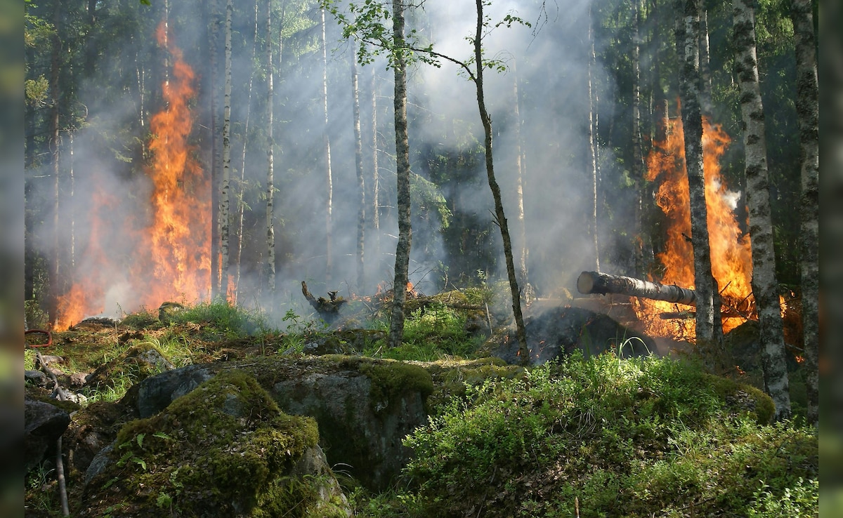 Latest and Breaking News on NDTV