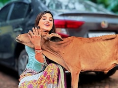 मशहूर हरियाणवी एक्ट्रेस दिव्यांका सिरोही नहीं रही इस दुनिया में, 30 साल की उम्र में ली आखिरी सांस