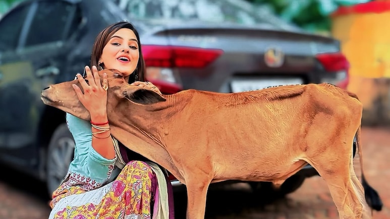 मशहूर हरियाणवी एक्ट्रेस दिव्यांका सिरोही नहीं रही इस दुनिया में, 30 साल की उम्र में ली आखिरी सांस