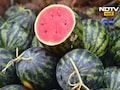 Chemically Ripen Watermelons: रसाळ कलिंगड हवे की विष? केमिकलयुक्त कलिंगड ओळखण्यासाठी 5 टिप्स
