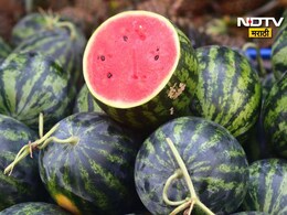 Chemically Ripen Watermelons: रसाळ कलिंगड हवे की विष? केमिकलयुक्त कलिंगड ओळखण्यासाठी 5 टिप्स