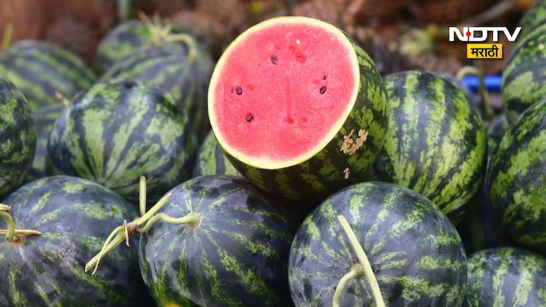 Chemically Ripen Watermelons: रसाळ कलिंगड हवे की विष? केमिकलयुक्त कलिंगड ओळखण्यासाठी 5 टिप्स